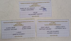 Elige SEMATJ Comisiones Estatutarias